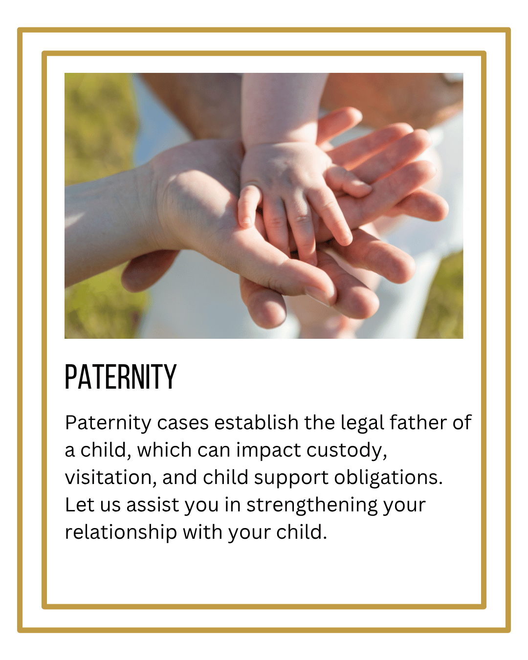 Paternity law